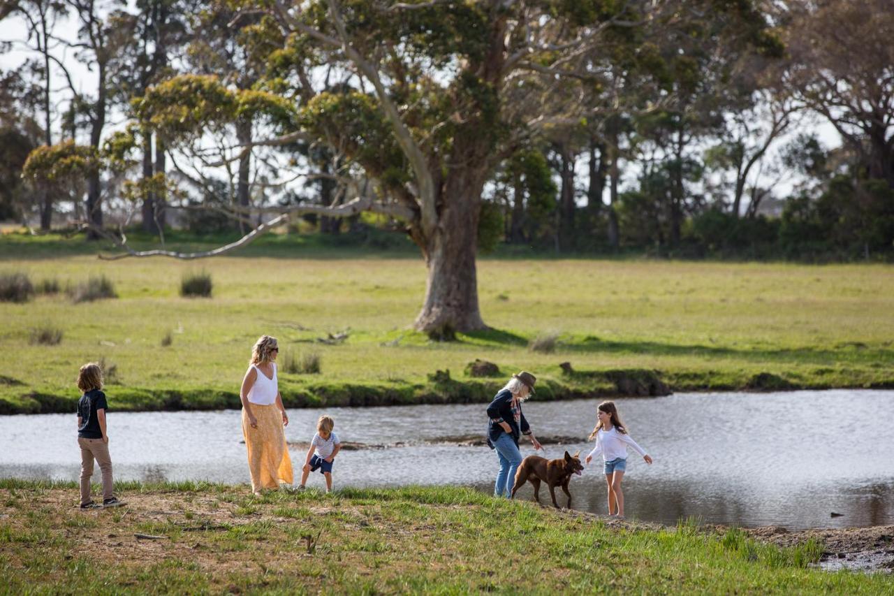 Redgate Forest Retreat Pension Witchcliffe Buitenkant foto