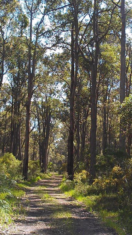 Redgate Forest Retreat Pension Witchcliffe Buitenkant foto